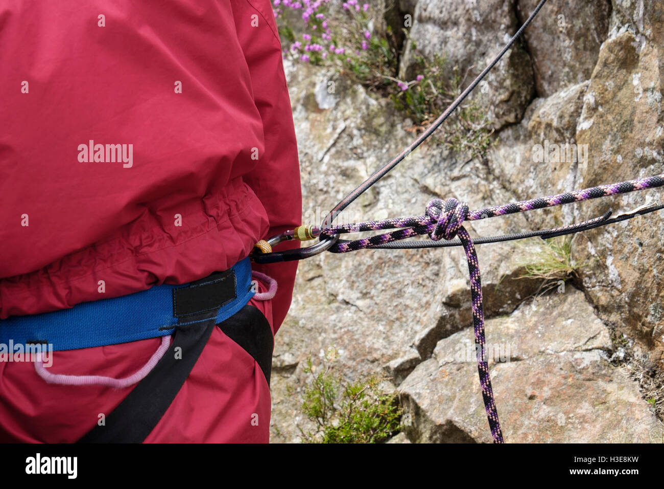 Rock Climber's sosta alla sommità di una salita con fune di arrampicata e moschettone collegato al retro di un cablaggio di arrampicata per la sicurezza. Foto Stock