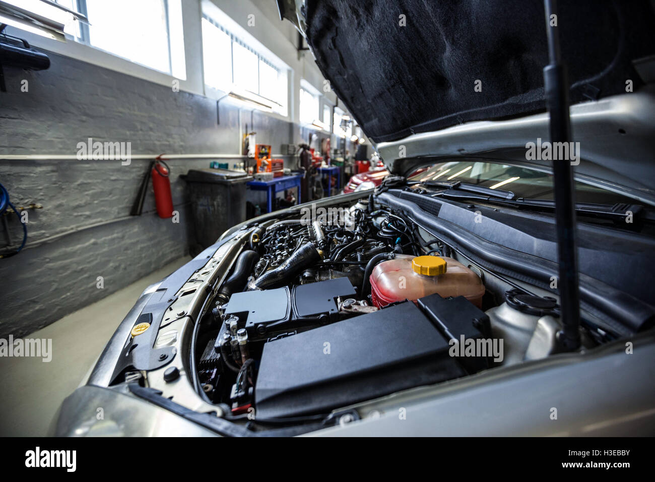 Close-up del cofano per auto Foto Stock