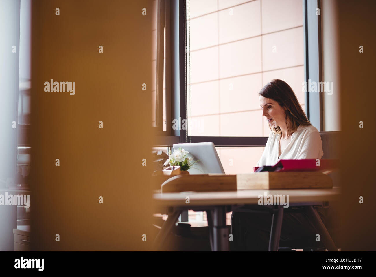 Donna al lavoro su computer portatile Foto Stock