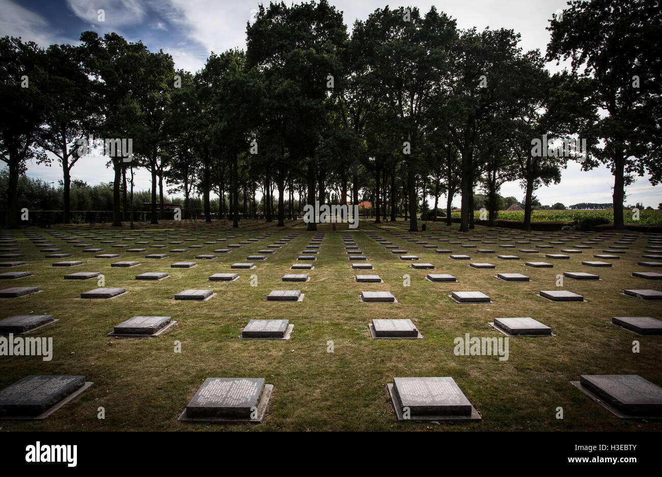 Il Cimitero e memoriale cimitero alla tedesca morti della prima guerra mondiale a Langemark, Fiandre Occidentali, Belgio Foto Stock