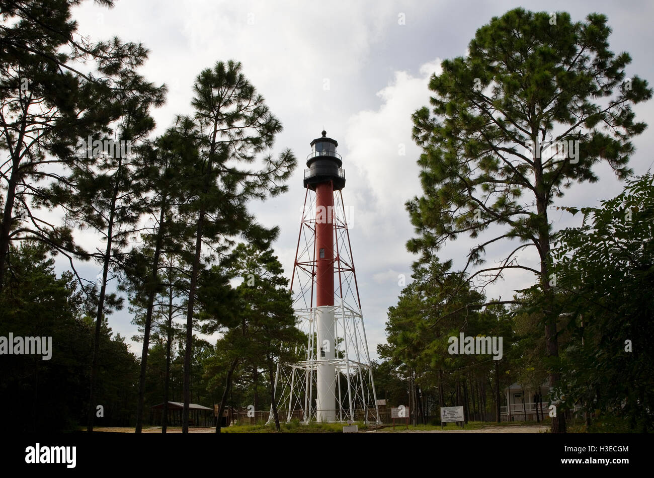 Il rosso e bianco torre di Crooked River Lighthouse aka Carrabelle luce sulla costa del Golfo della Florida sorge 100' tra alberi di pino. Foto Stock