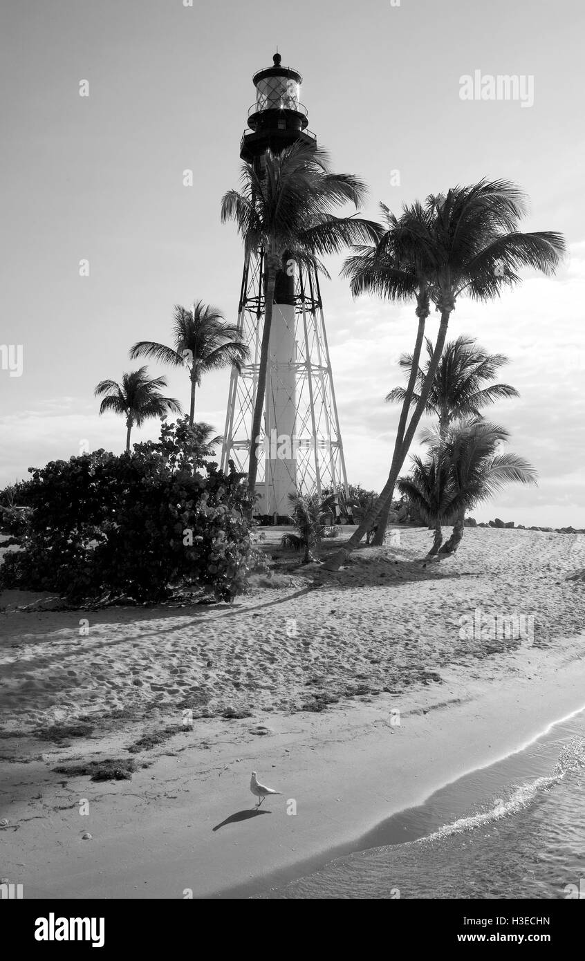 In questa immagine in bianco e nero di Hillsboro faro early morning sun da est getta ombre lunghe di luce e di gabbiano. Foto Stock