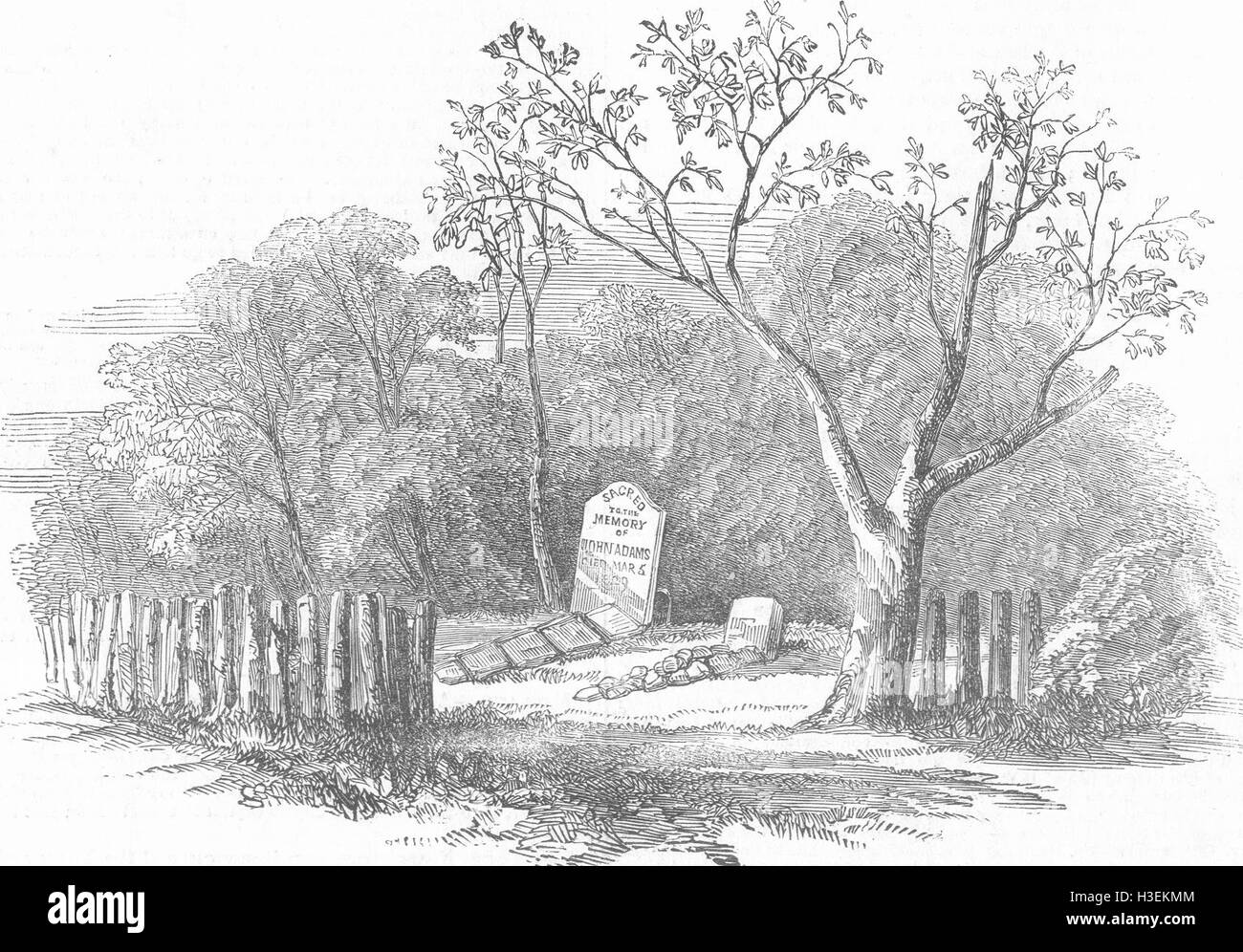 Oceano Pacifico la tomba di John Adams, Pitcairn Island 1852. Il Illustrated London News Foto Stock