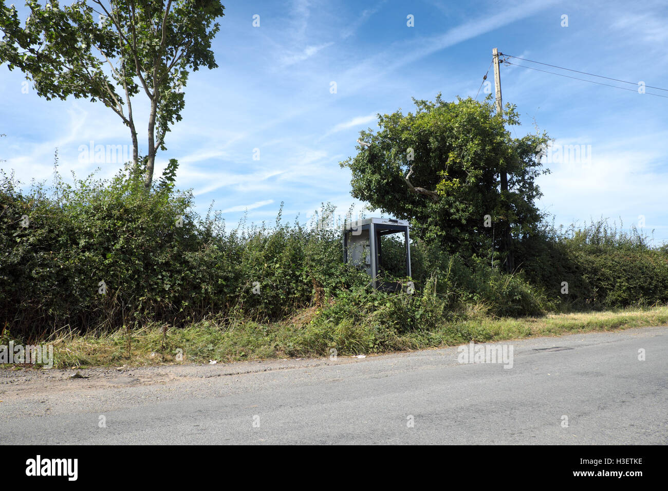 Distanza ricoperta rurale BT British Telecom telefono pubblico ha il vetro rotto e rovi in Herefordshire England Regno Unito Foto Stock