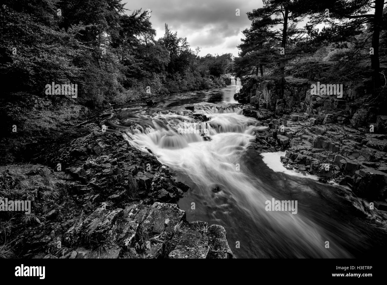 Bassa forza cascata Yorkshire Dales paesaggio DEL REGNO UNITO Foto Stock