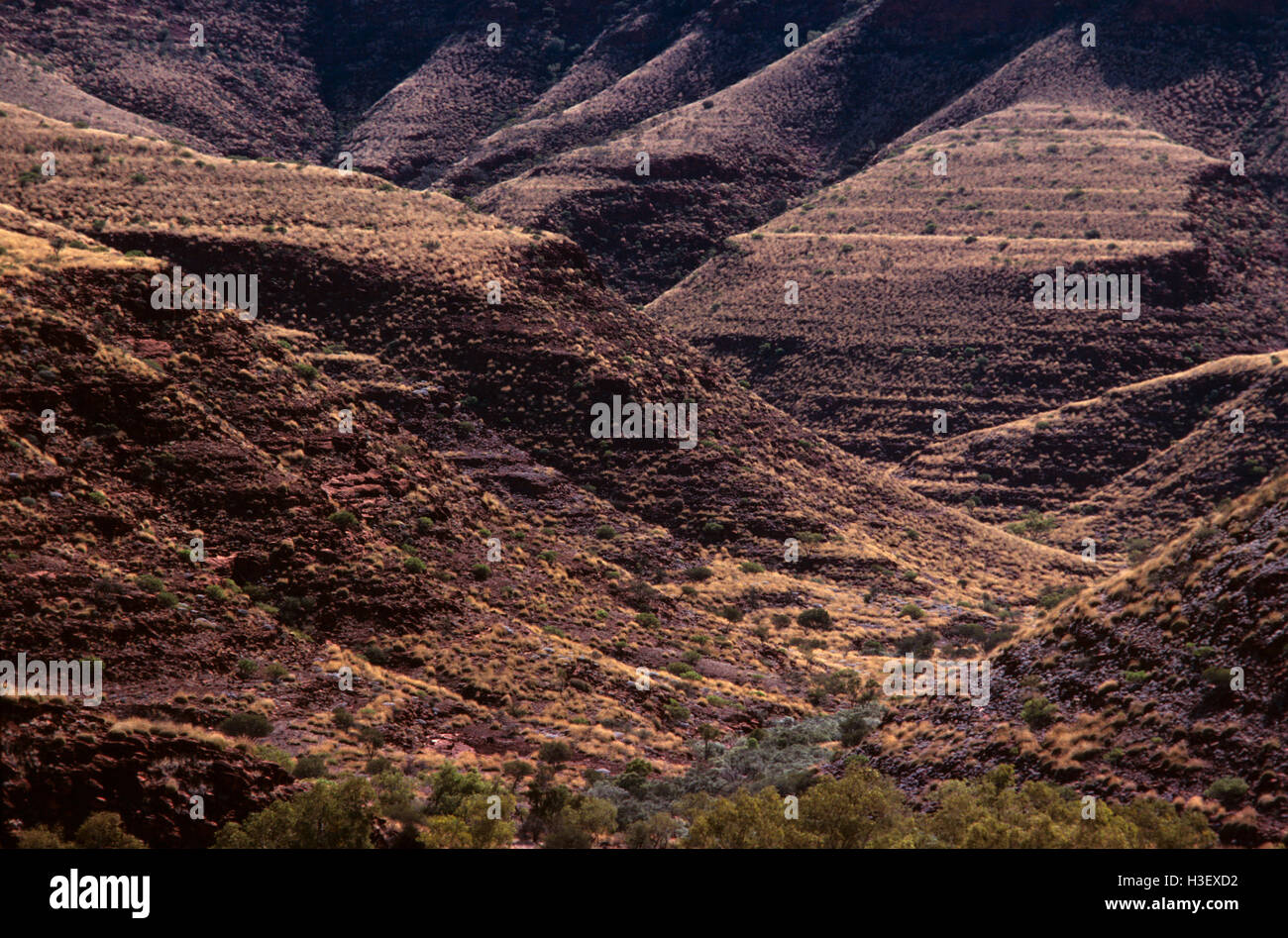 Finke Gorge Pendii aridi, Foto Stock