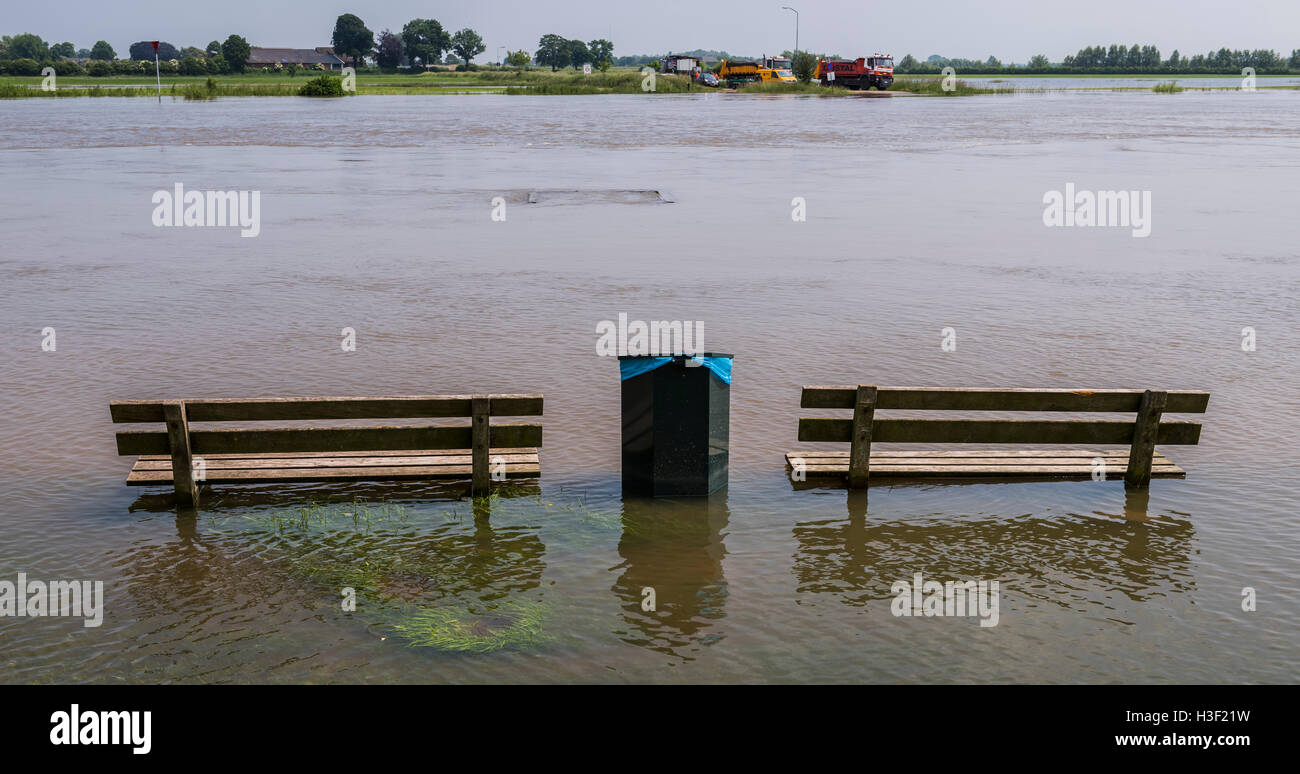 Acqua alta sul fiume IJssel con il traghetto di Dieren e due panche in acqua nei Paesi Bassi. Foto Stock