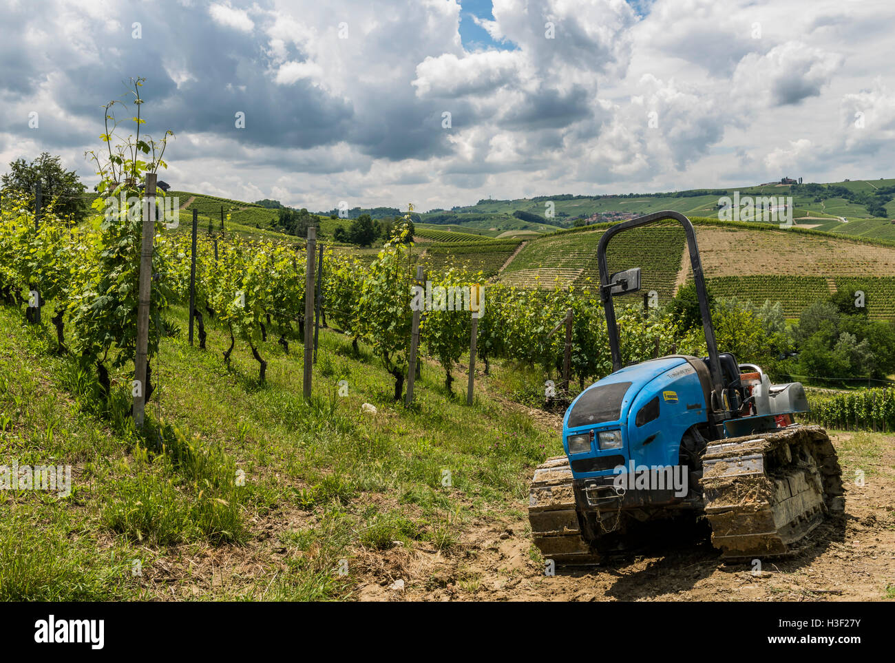 Garbelletto , Italia - Giugno 3, 2016: vigneti wit veicolo cingolato (trattore) e colline di Garbelletto, Piemonte, Italia. Foto Stock