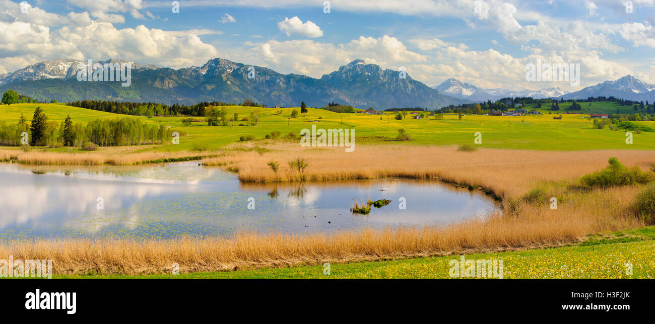 Panorama del paesaggio in Baviera con il lago e le montagne delle Alpi Foto Stock