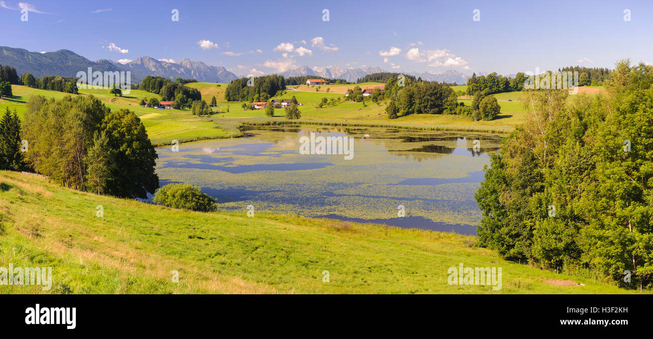 Panorama del paesaggio in Baviera con il lago e le montagne delle Alpi Foto Stock