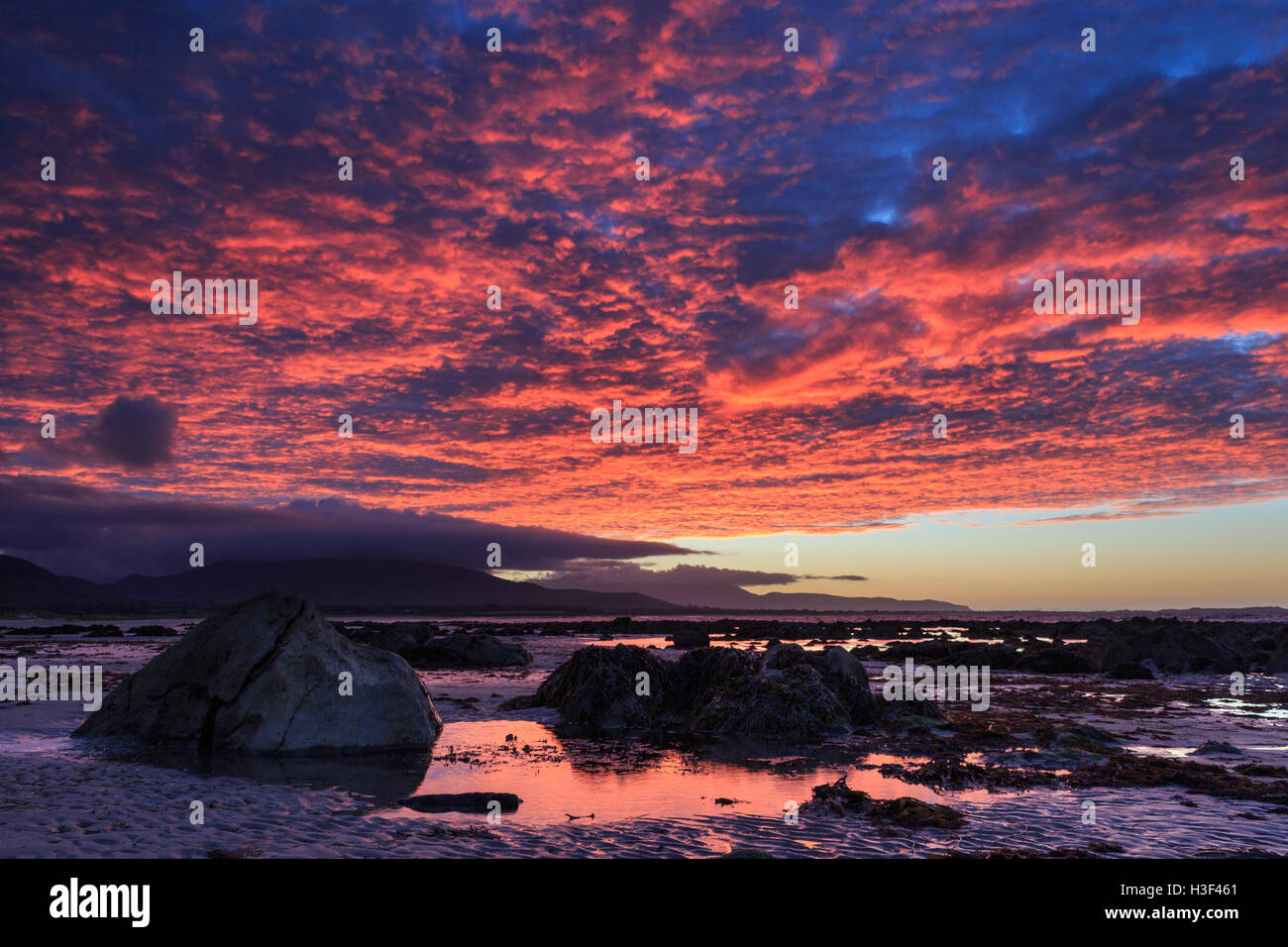 Tramonto sulla spiaggia di Camp sulla penisola di Dingle, nella contea di Kerry, Irlanda Foto Stock