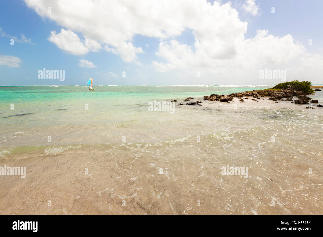 Windsurf sul mare dei Caraibi, Guadalupa Foto Stock