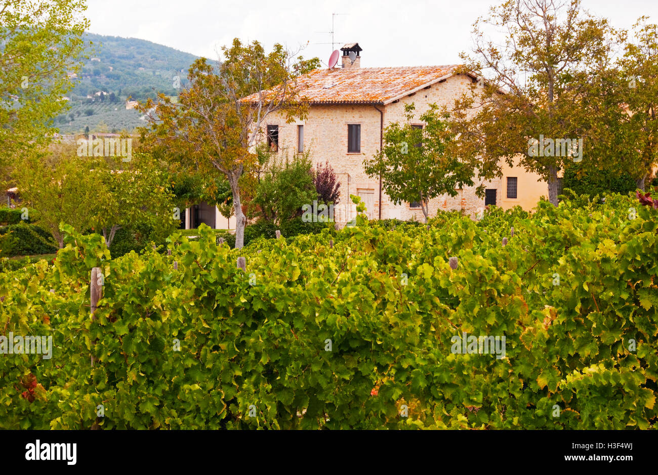 Casa Vigna e vicino alla città di Montefalco in Umbria, Italia Foto Stock