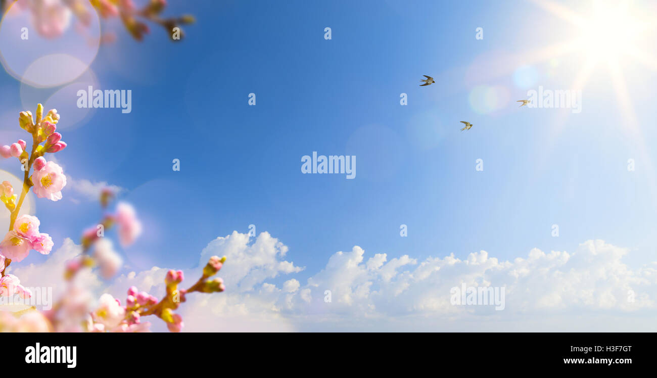 Abstract la molla sullo sfondo del paesaggio con uccelli in volo e fiore di primavera Foto Stock