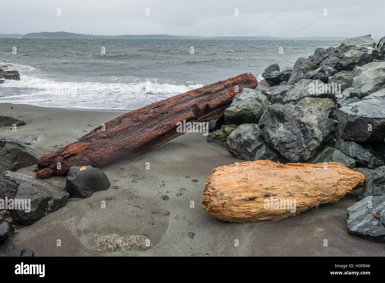 Registri Driftwood sedersi sul litorale ad Alki Beach in West Seattle, Washington. Foto Stock