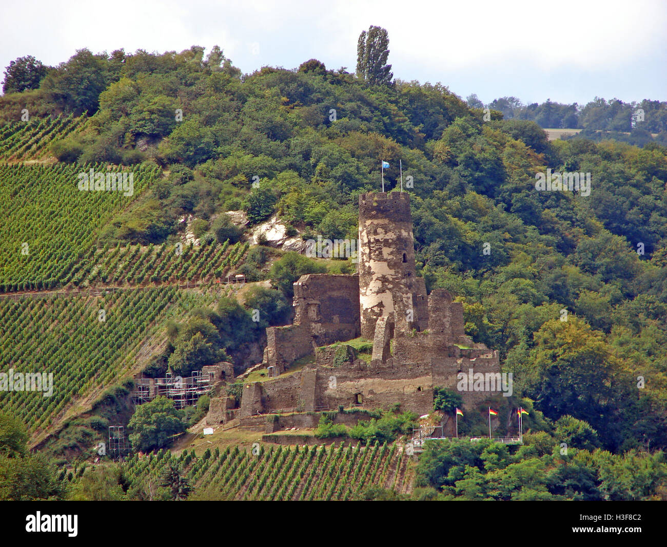 Il castello di Nolig come si vede dal Fiume Reno Foto Stock