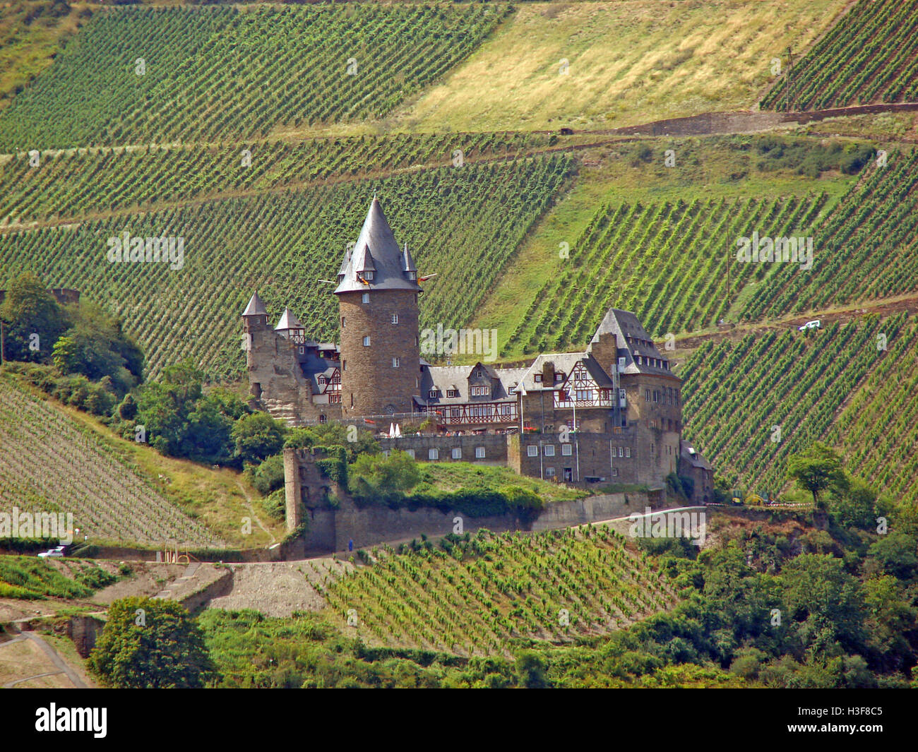 Castello Stahleck come si vede dal Fiume Reno Foto Stock