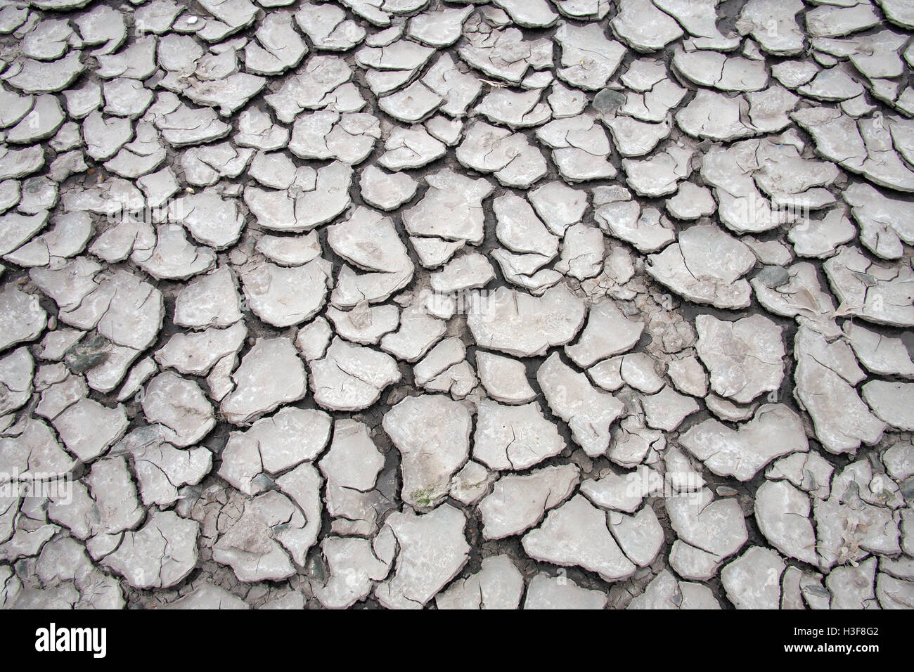Asciugare incrinato massa di suolo siccità il cambiamento climatico il riscaldamento globale Foto Stock