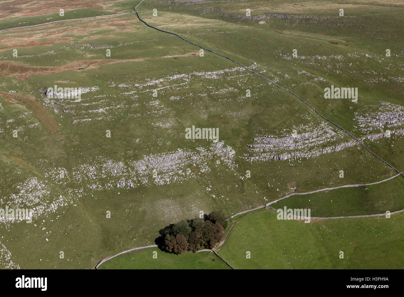 Vista aerea di una scarpata di collina in Yorkshire Dales, REGNO UNITO Foto Stock