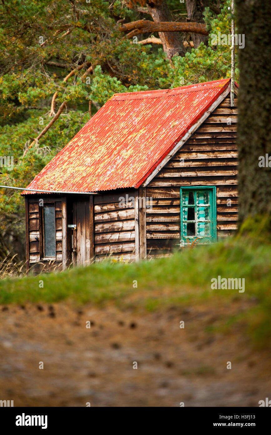 Vecchia casa in legno si trova sul sentiero forestale attorno a Loch un Eilein e Rothiemurchus foresta, Highlands, Scotland, Regno Unito Foto Stock