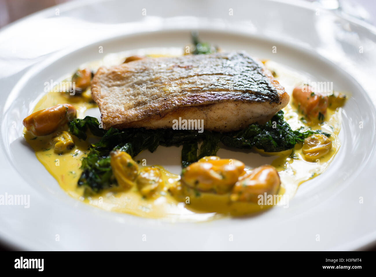 Cuocere il filetto di pesce su foglie di spinaci e giallo salsa di cozze su bianco piatto rotondo. Foto Stock