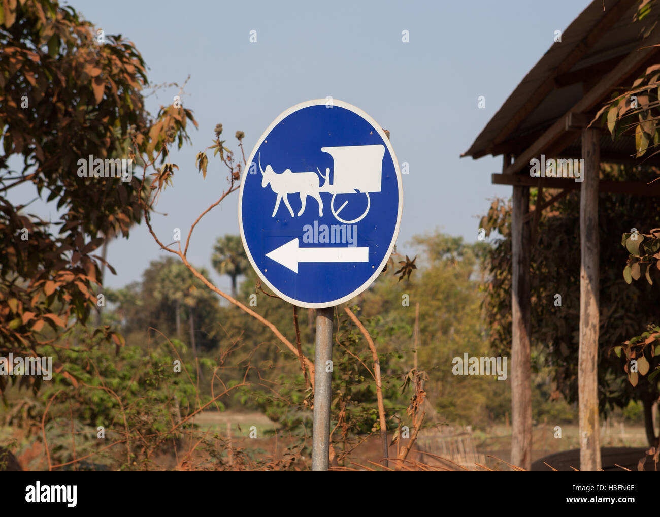 Ox carrello segno di traffico vicino a Siem Reap,Cambogia. Foto Stock