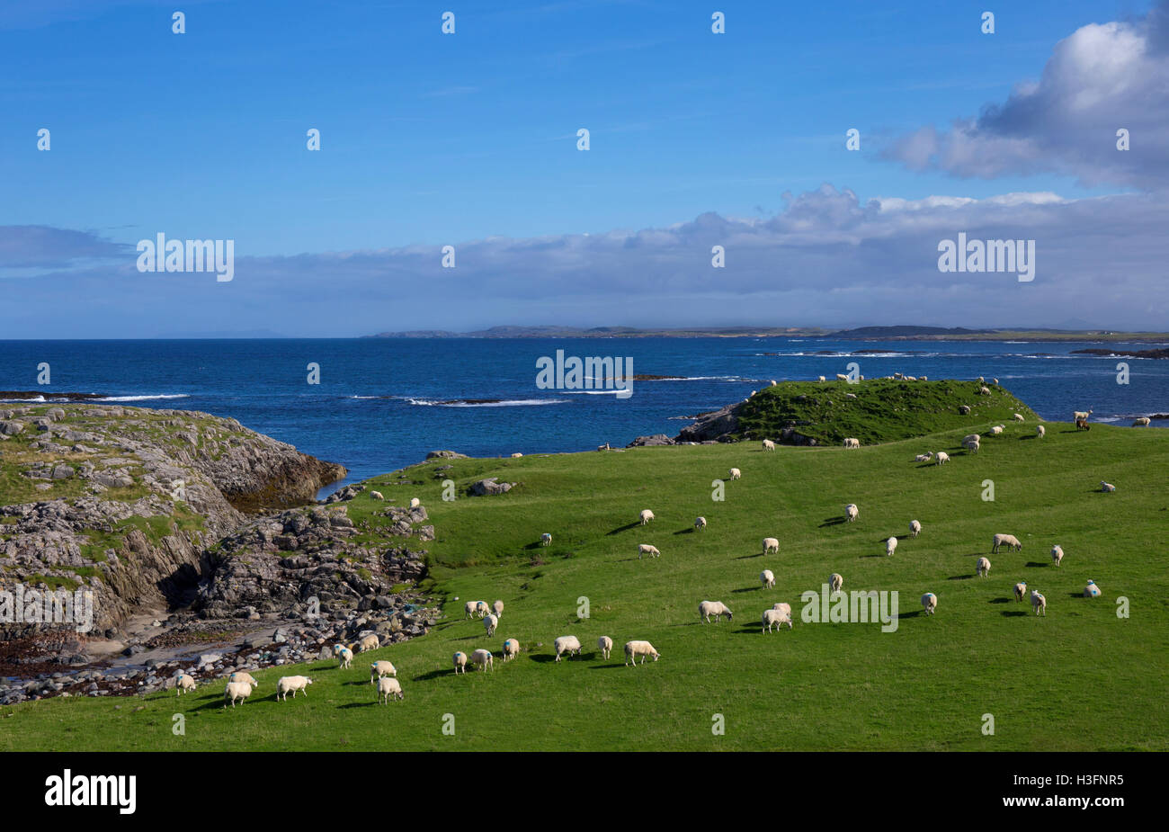 Vecchio Shepard's House,Green Bay,Tiree,Ebridi Interne,Argyll and Bute,Scozia Scotland Foto Stock