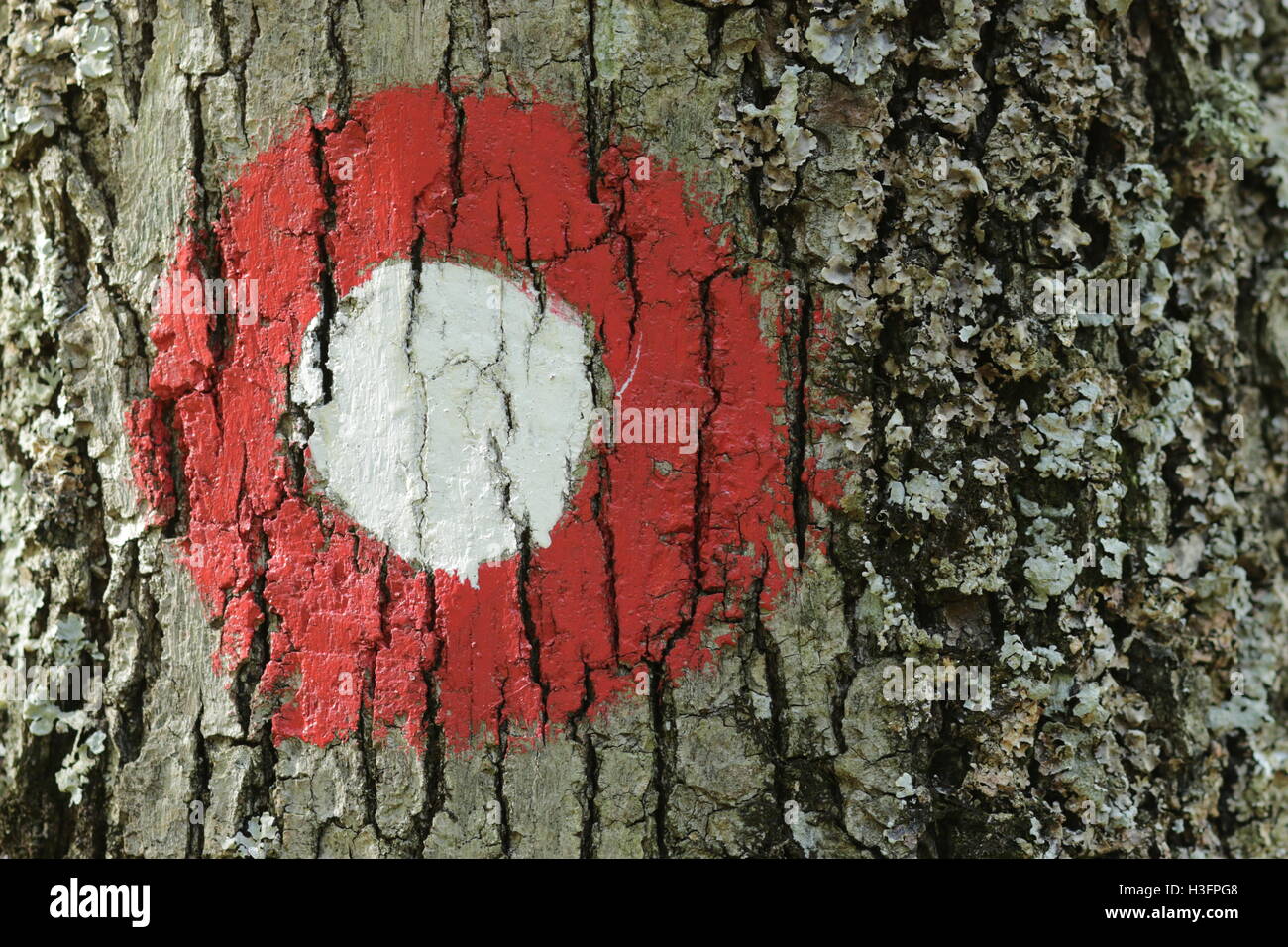 Segno di montagna su legno Foto Stock