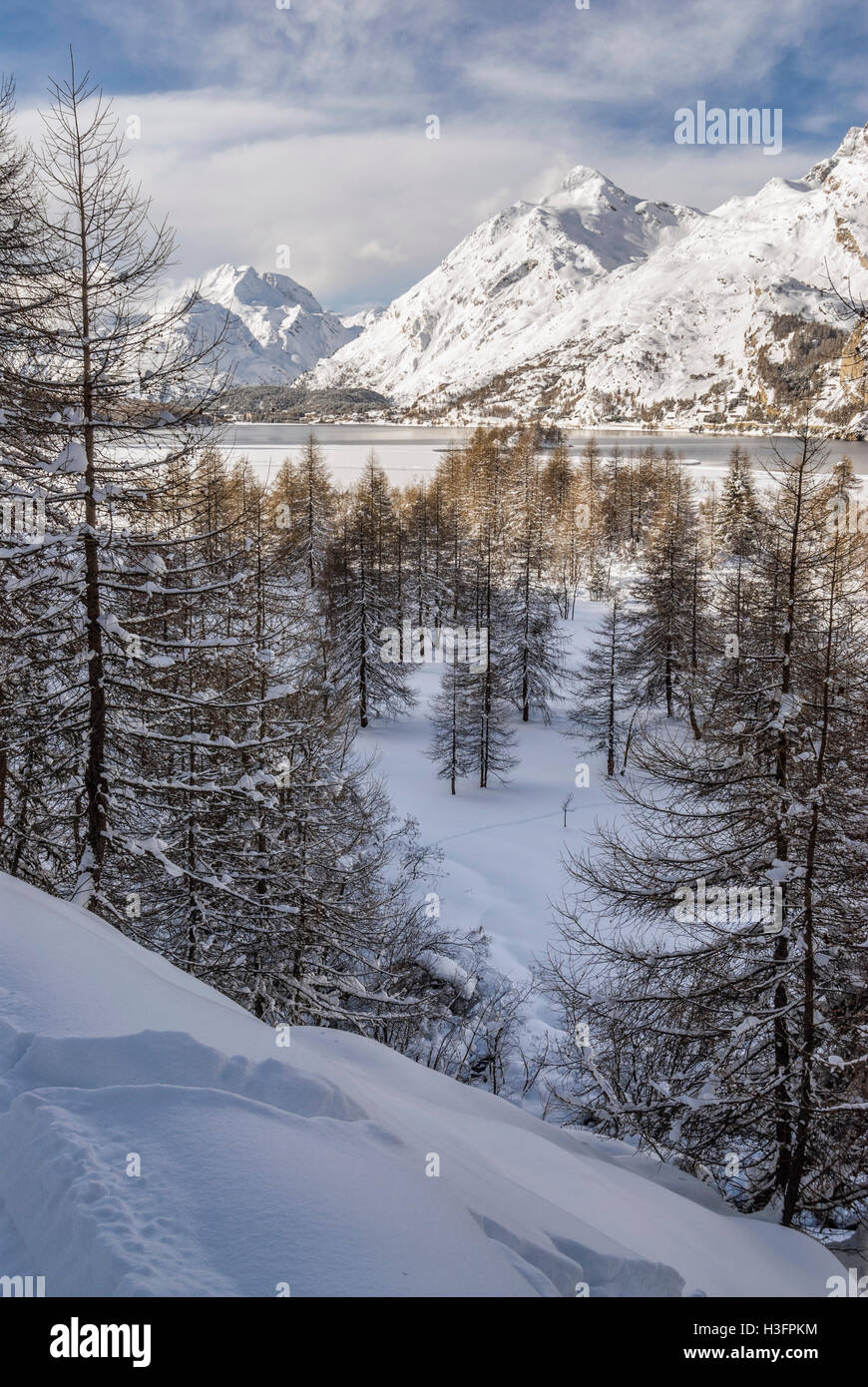 Paesaggio invernale, Lago di Sils, Sils Maria, Engadina, Svizzera Foto Stock