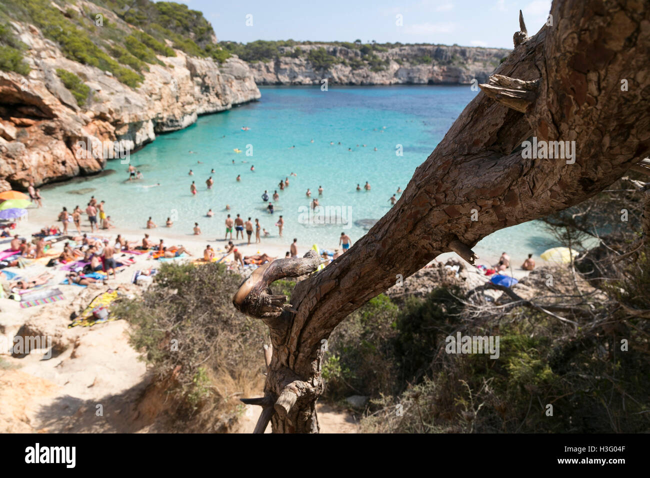 Paradisiaca spiaggia di chiara e acqua cristallina in Mallorca Foto Stock