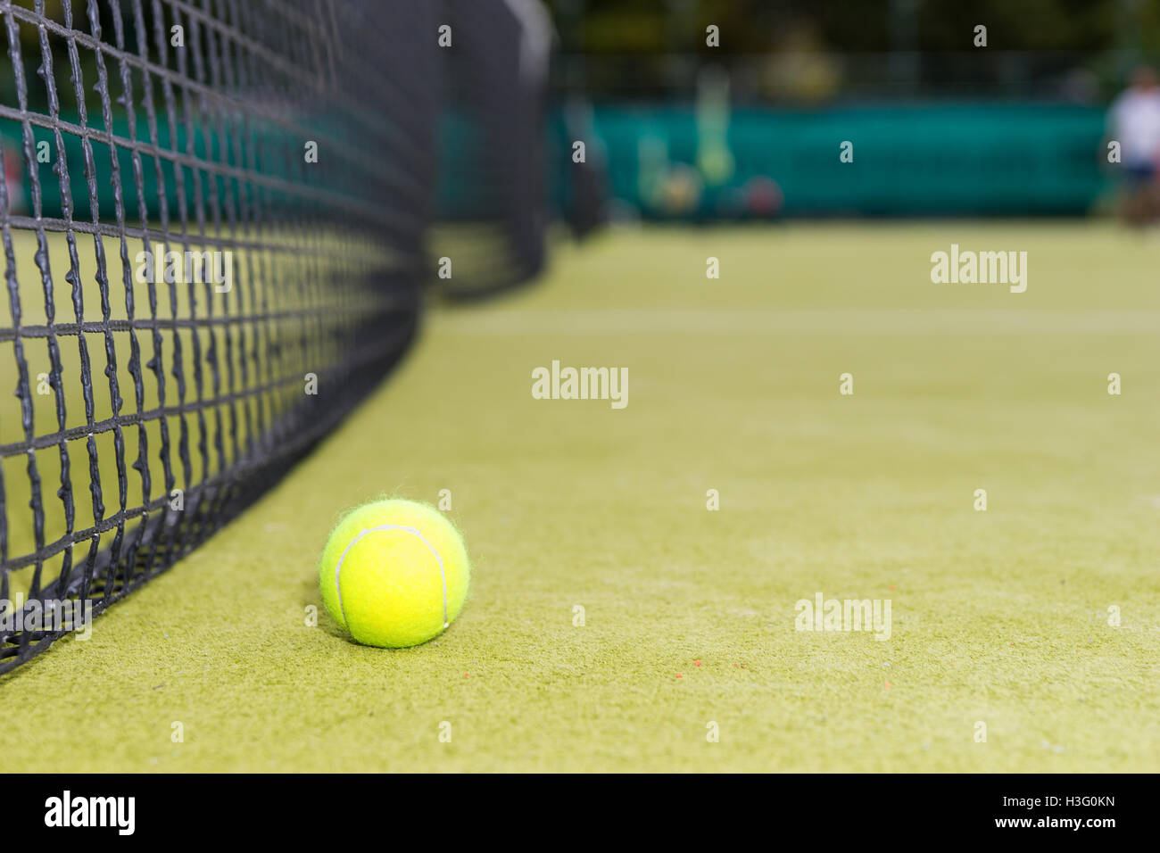 Palla da tennis si trova nei pressi della rete sulla corte di erba Foto  stock - Alamy
