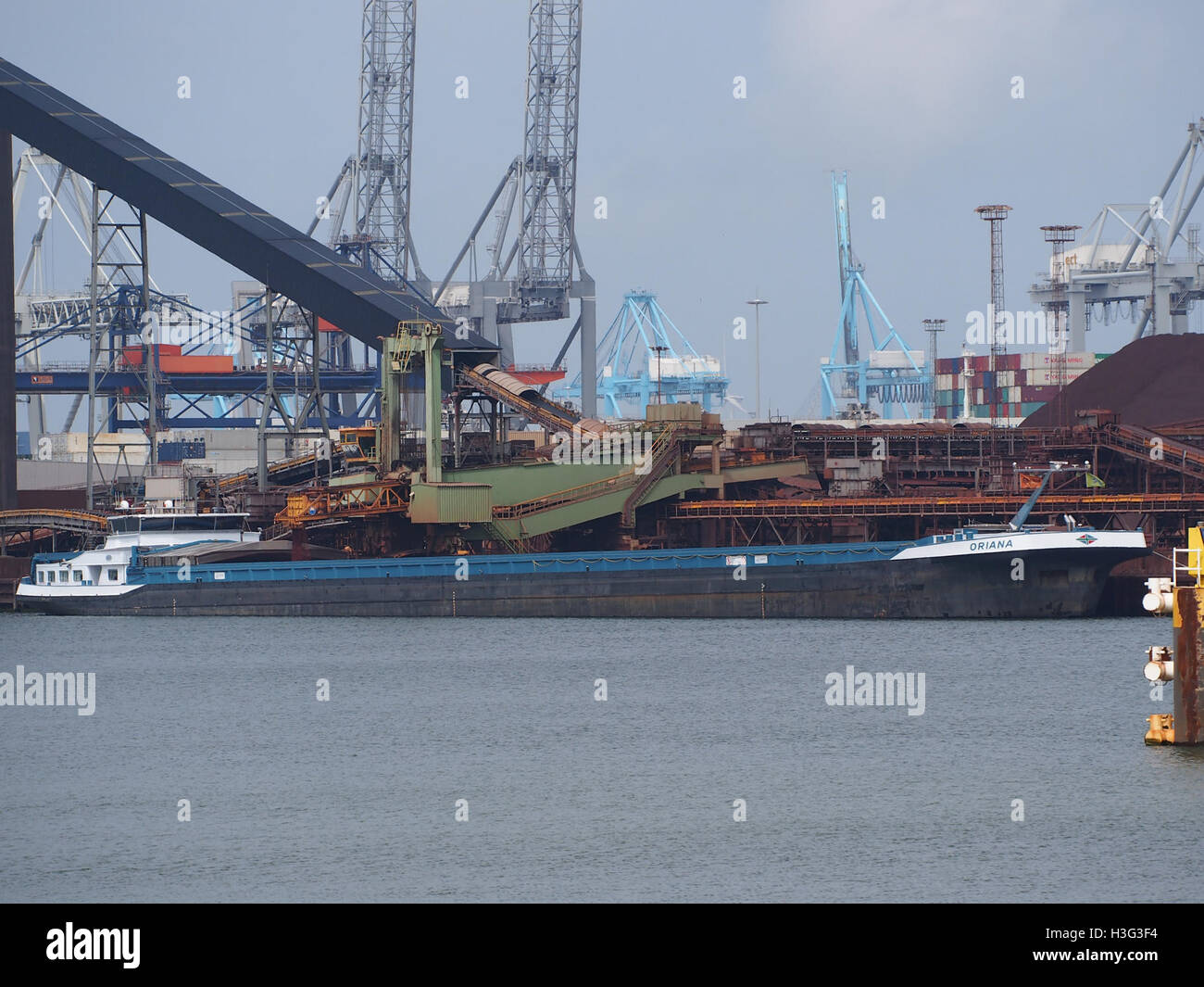 L'Oriana, con il numero ENI 02330688, è attraccata ad Hartelhaven, nel porto di Rotterdam. La nave fa parte di una flotta utilizzata per il trasporto marittimo e le operazioni all'interno delle rotte marittime europee. Il porto di Rotterdam funge da importante punto di accesso per il commercio globale, in particolare per le spedizioni di petrolio e gas. Foto Stock