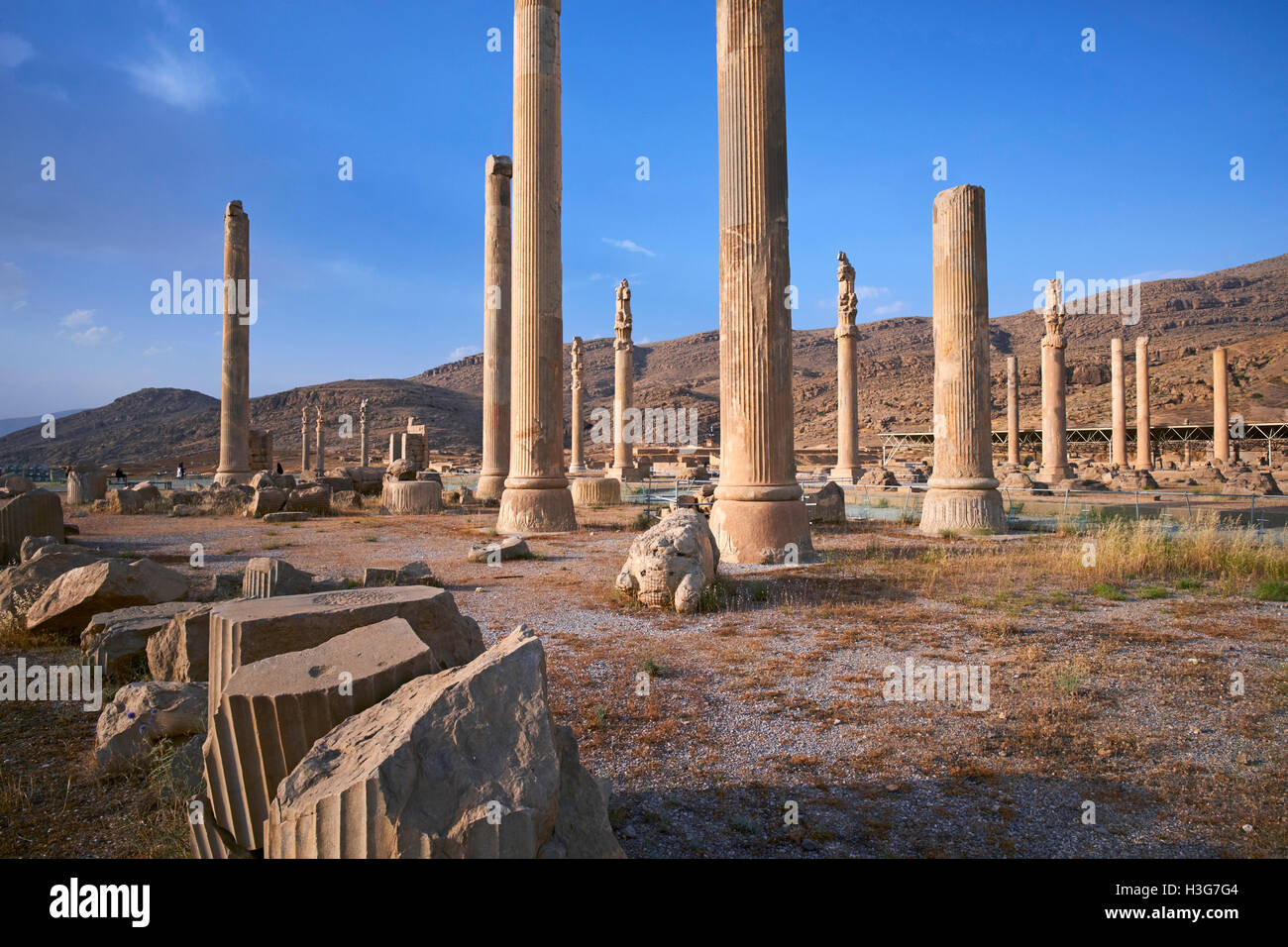 Iran, far Provincia, Persepolis, Patrimonio Mondiale dell'UNESCO, pilastri della Apadane palace Foto Stock