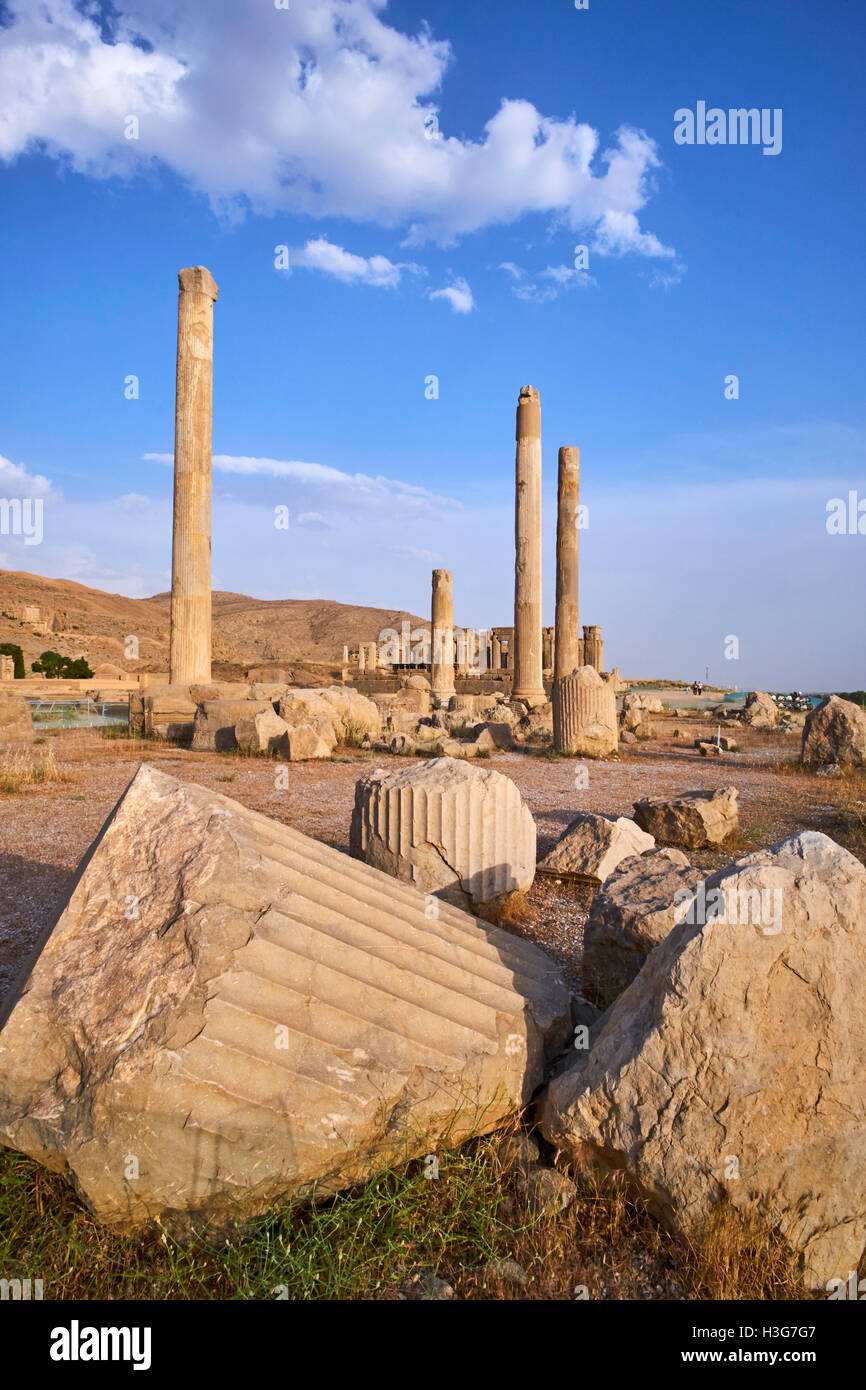 Iran, far Provincia, Persepolis, Patrimonio Mondiale dell'UNESCO, pilastri della Apadane palace Foto Stock