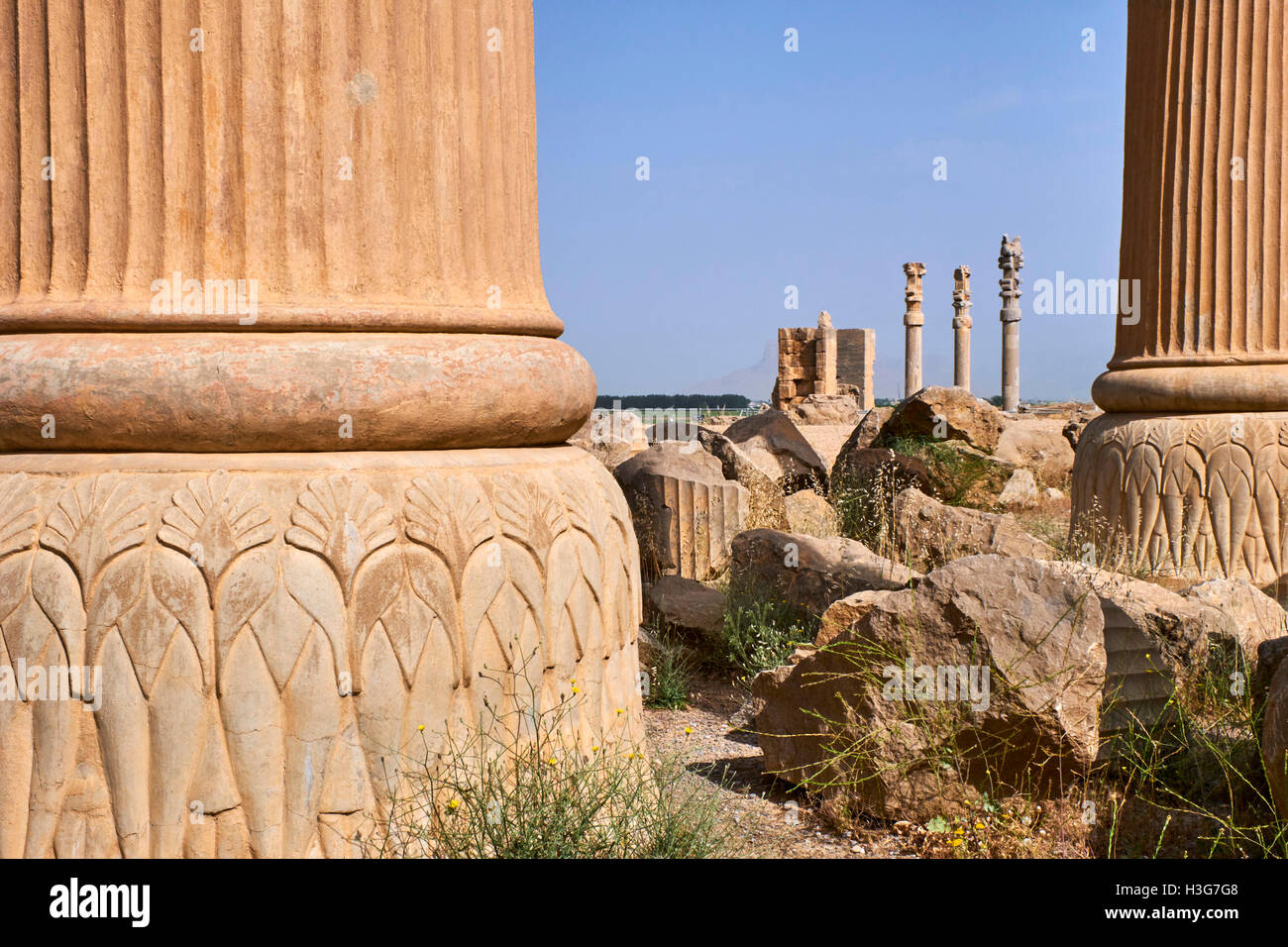 Iran, far Provincia, Persepolis, Patrimonio Mondiale dell'UNESCO, pilastri della Apadane palace Foto Stock