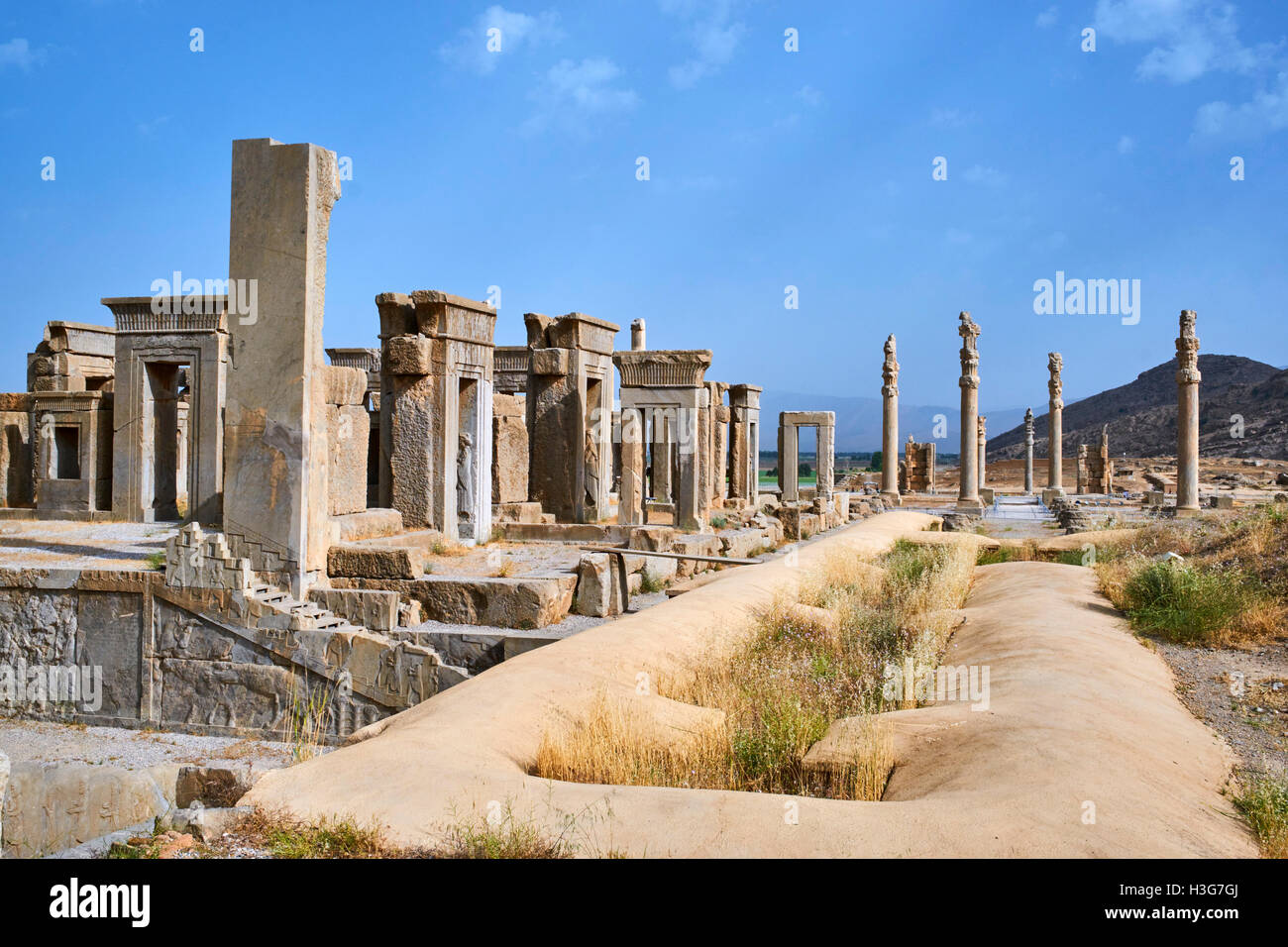 Iran, far Provincia, Persepolis, Patrimonio Mondiale dell'UNESCO, pilastri della Apadane palace Foto Stock