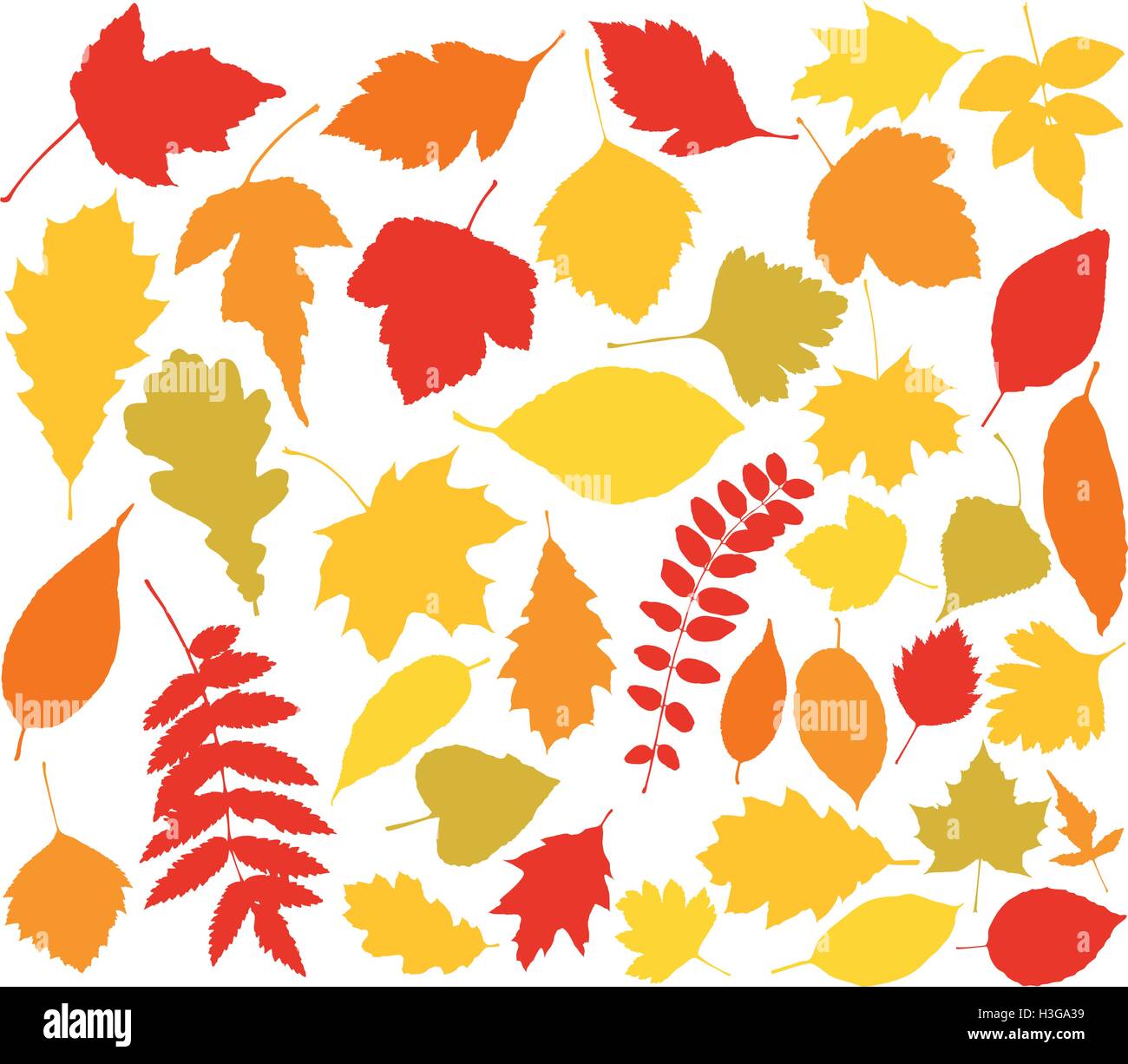 Vettore sagome di foglie di autunno Immagine e Vettoriale - Alamy