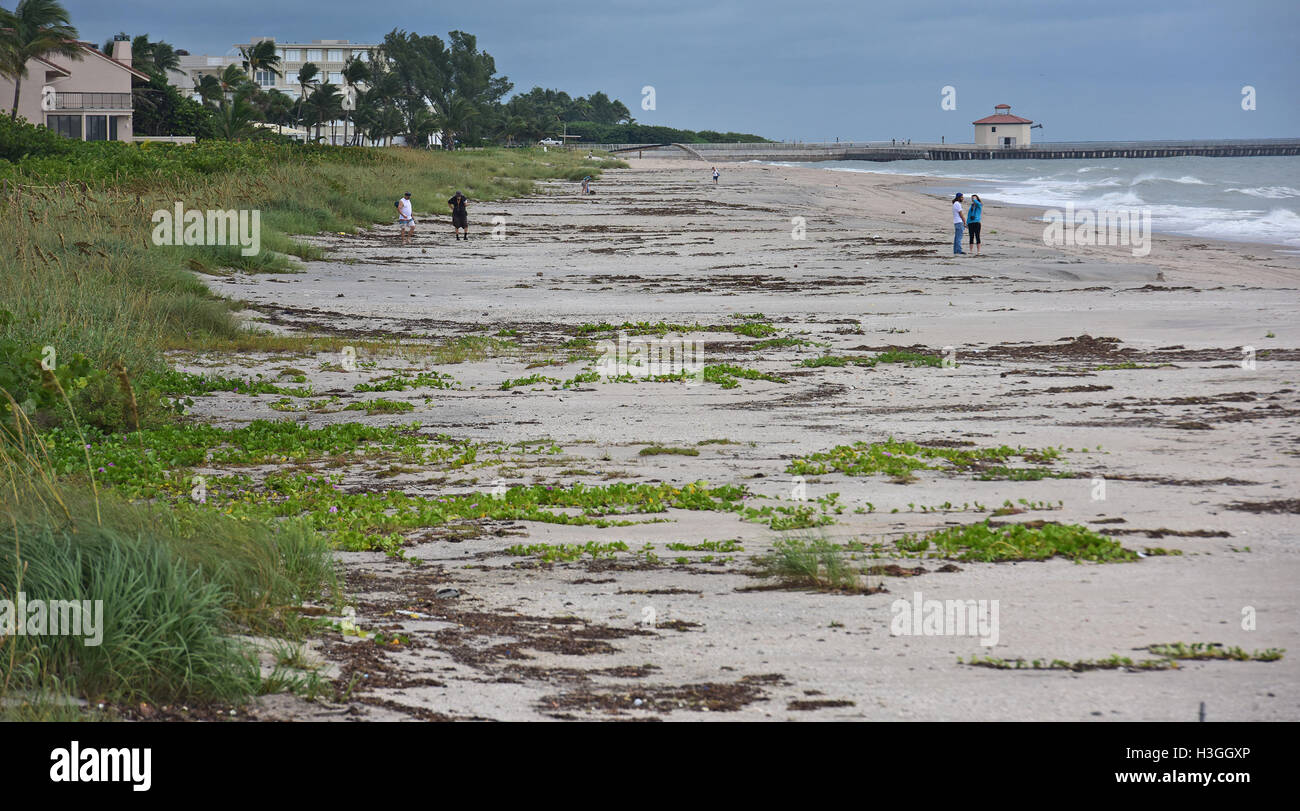 Boca Raton, FL, Stati Uniti d'America. Il 7 ottobre, 2016. La spiaggia come chiaro dopo l uragano Matteo a sud di Boynton Beach ingresso.10/7/16. Fotografo personale di Jim Rassol Credito: Sun-Sentinel/ZUMA filo/Alamy Live News Foto Stock