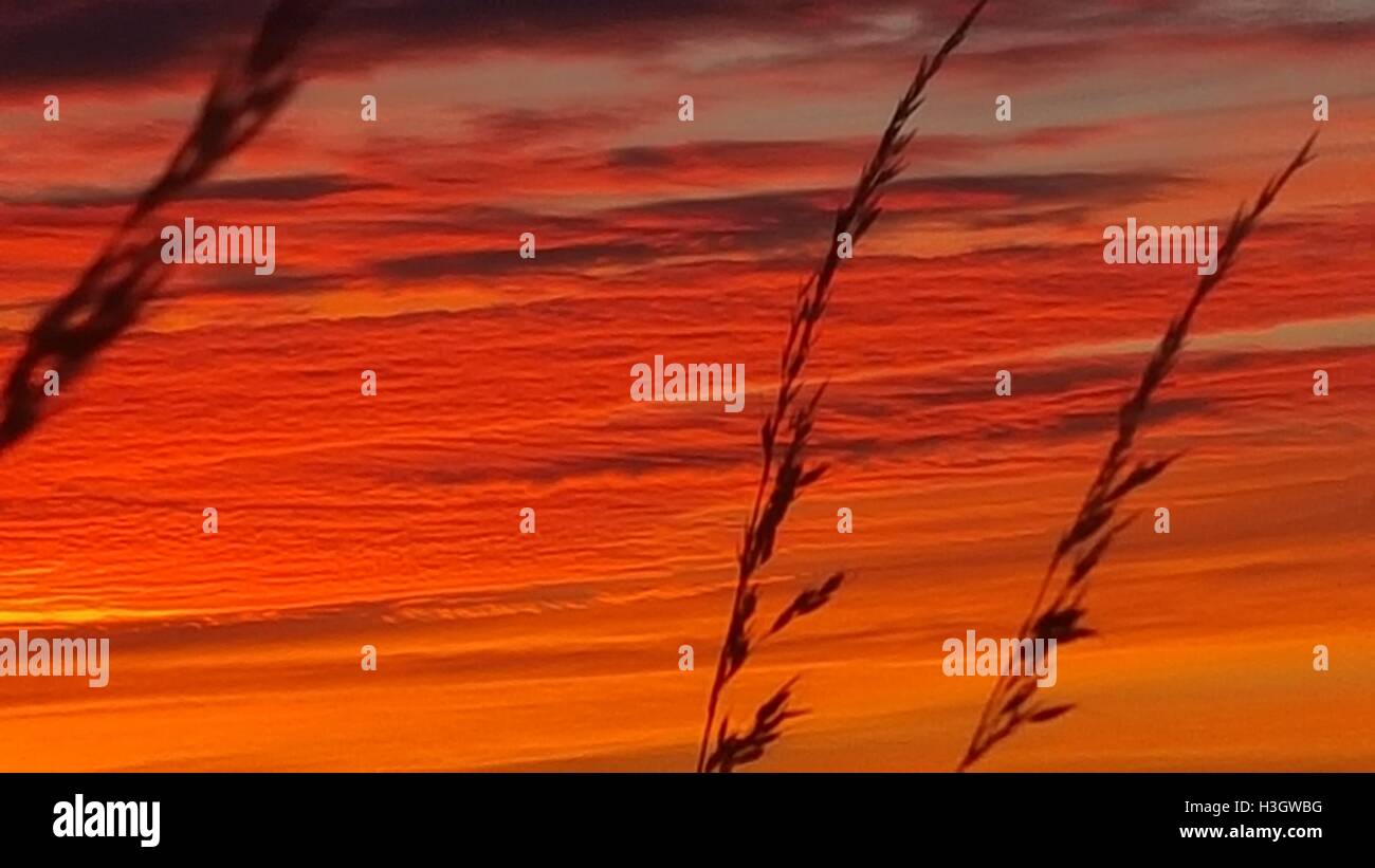 Sunrise colori forti Foto Stock