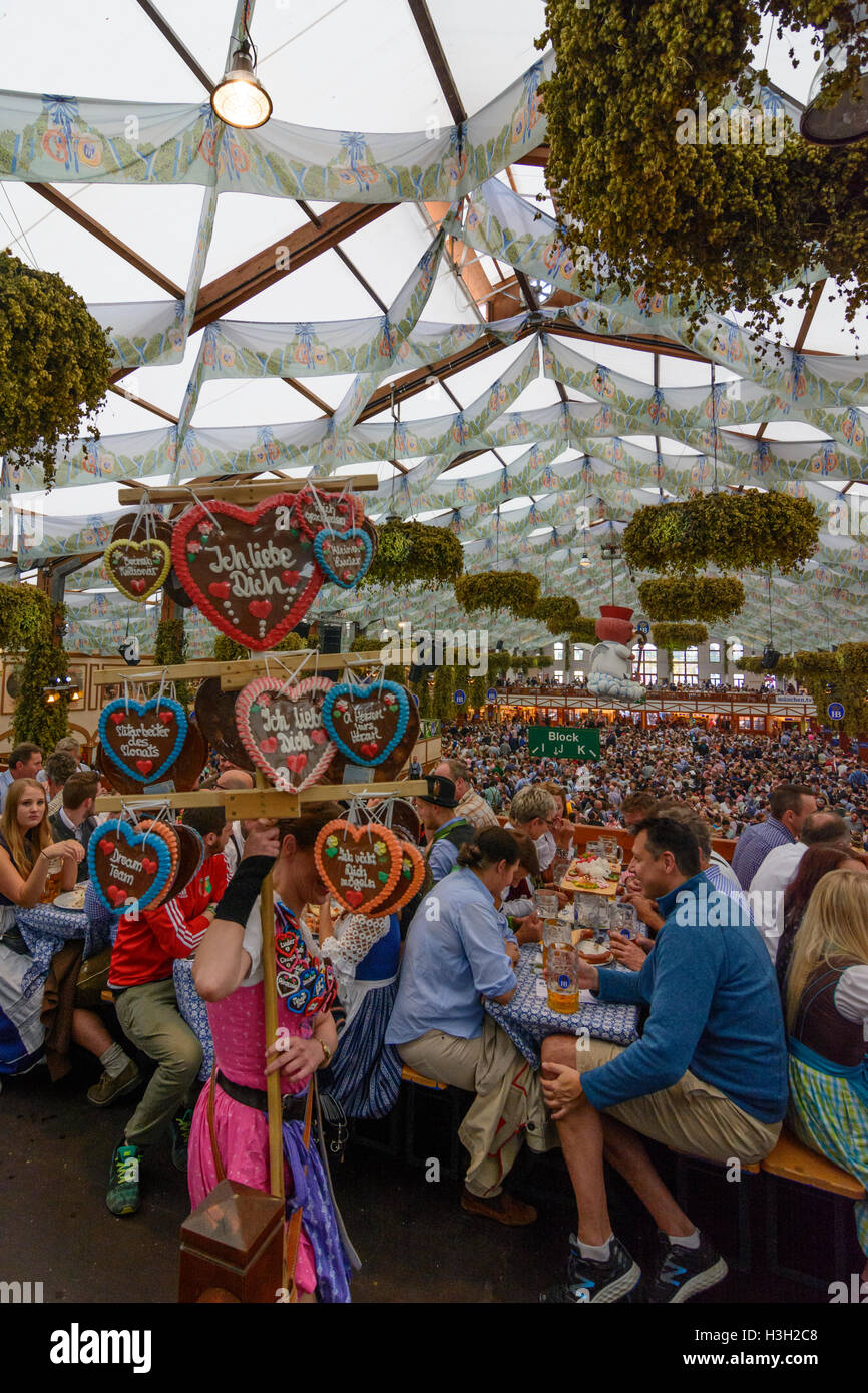 München Monaco di Baviera : festival della birra Oktoberfest: birreria Hofbräuhaus tenda, ospiti, Alta Baviera, Baviera, Baviera, Baviera, Tedesco Foto Stock