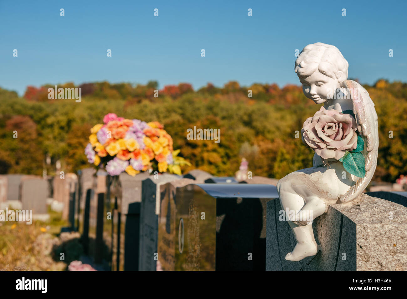 Statua di un angelo tenendo una rosa seduto su una lapide in un cimitero con fiori e lapidi in background Foto Stock