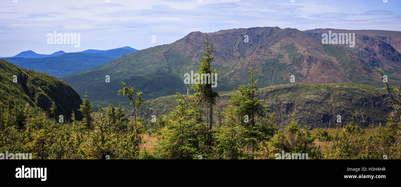 Montare Ernest-Laforce Sentieri nel Parco Gaspésie, Québec, Canada Foto Stock