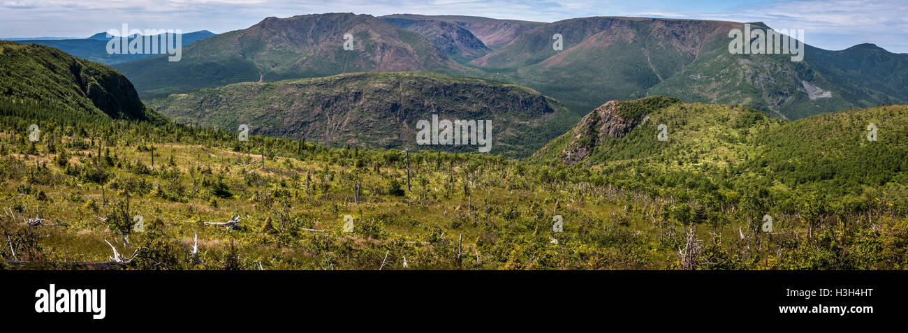 Montare Ernest-Laforce Sentieri nel Parco Gaspésie, Québec, Canada Foto Stock