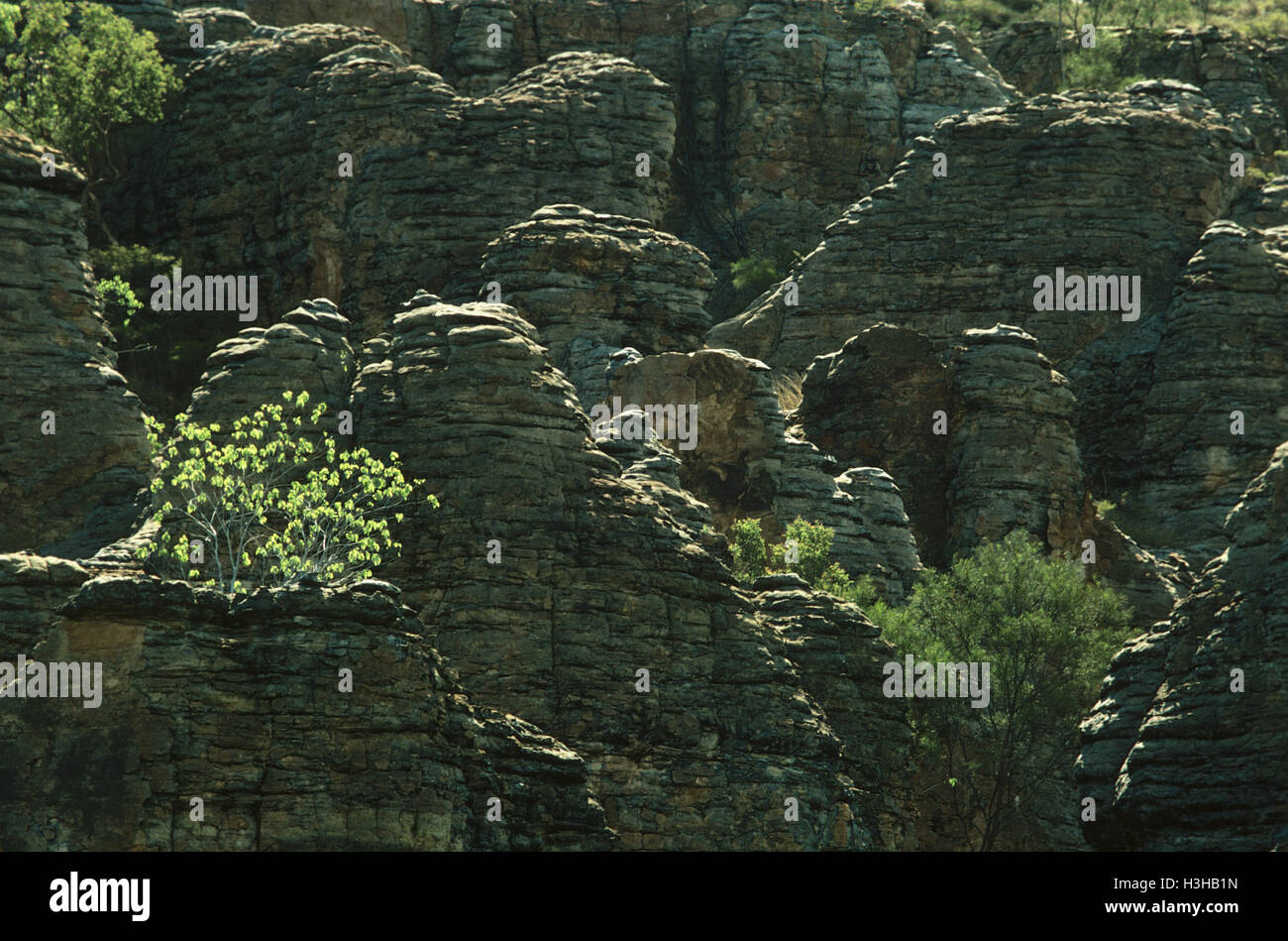 Torri di pietra arenaria vicino Hodgson Downs o Minyerri e Roper - stazioni a valle, Foto Stock