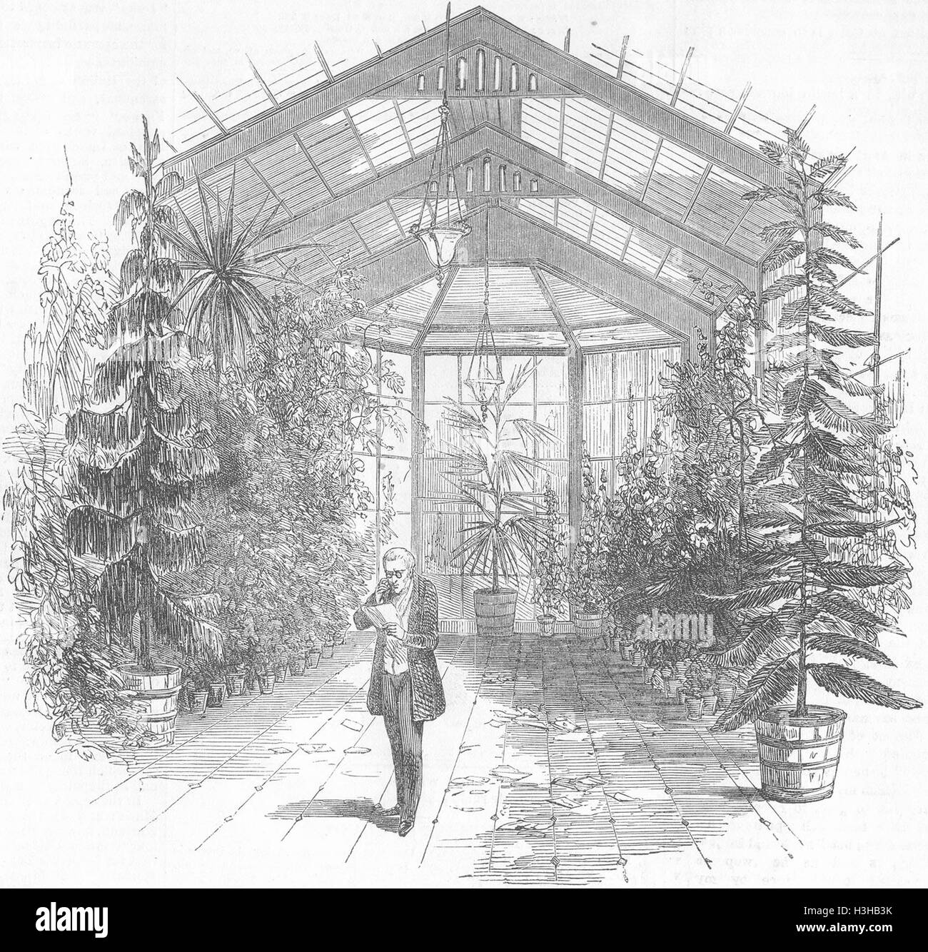 A STRATFIELD SAYE Conservatorio 1852. Illustrated London News Foto Stock