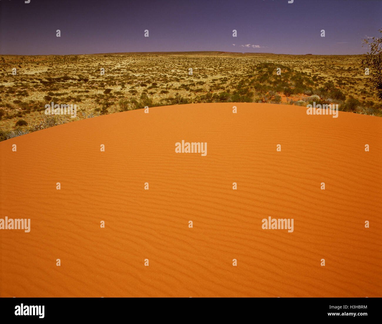 Dune di sabbia rossa vicino al lago di delusione. Foto Stock