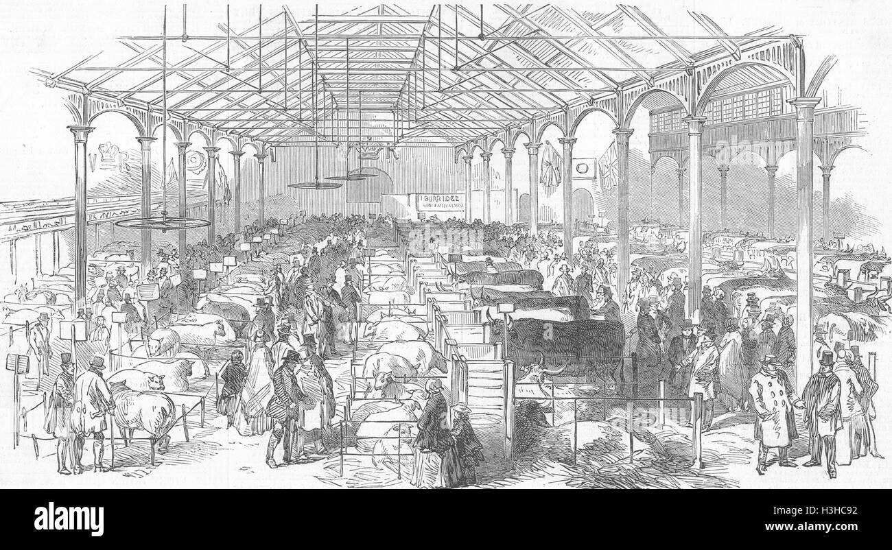 WARCS Farm show, Bingley Hall di Birmingham 1850. Illustrated London News Foto Stock
