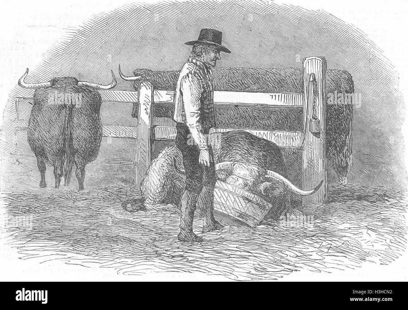 Agricoltura alimentare 1849. Illustrated London News Foto Stock