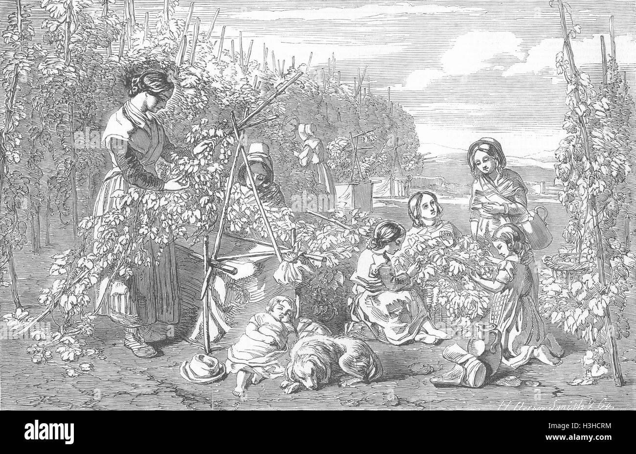 Tramogge di famiglia 1851. Illustrated London News Foto Stock