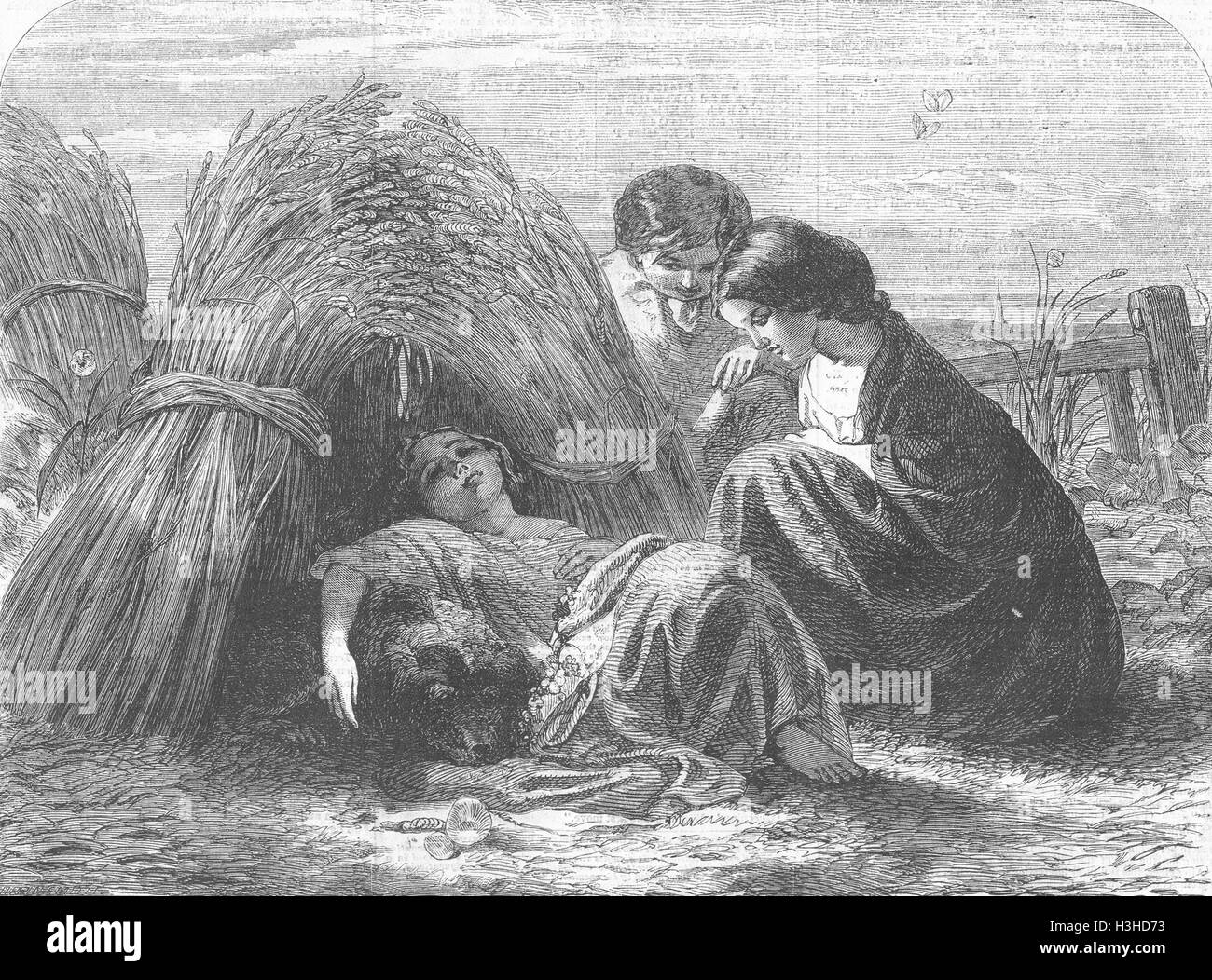 Cani Il Wheatsheaf 1855. Illustrated London News Foto Stock